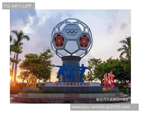 激情与梦想交织的绿茵场足球世界杯的荣耀与挑战之旅