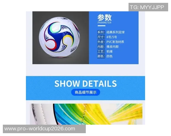 购买高品质足球的价格范围及推荐品牌分析